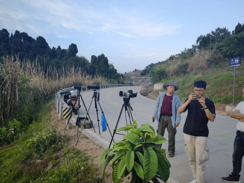 太平区电商产品视频拍摄制作：如何打造高转化的电商视觉内容？